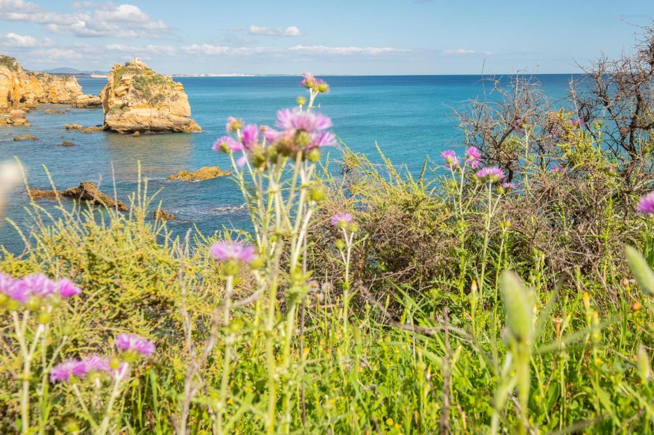 Beach Praia - Sleep 5 - Pool - Free Wi-Fi - Air Con Albufeira Exterior foto